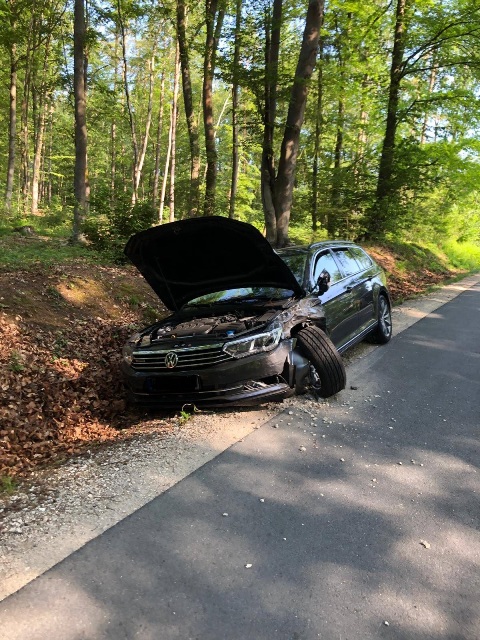 IMG-20190604-WA0009 bearbeitet groß.jpg